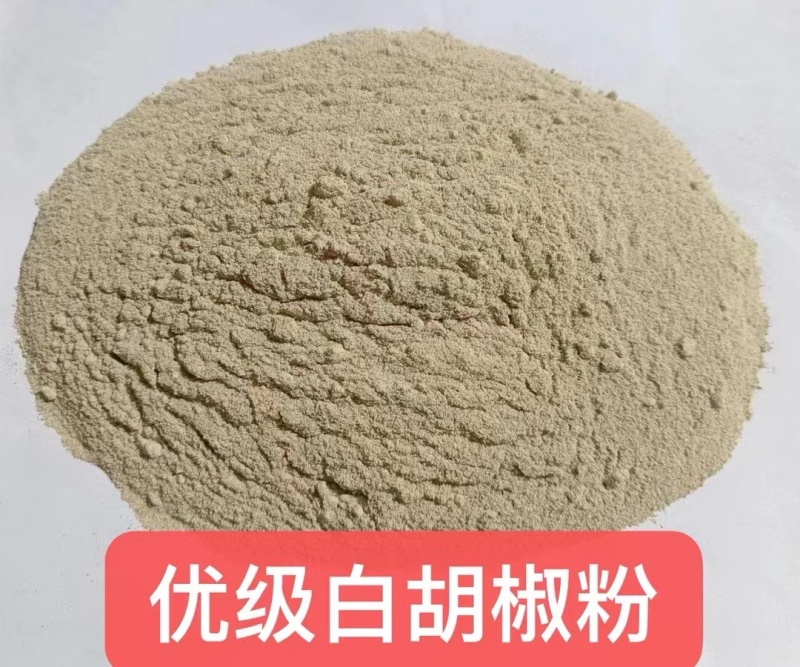 黑胡椒粉和白胡椒粉量大质优价格优惠欢迎咨询采购