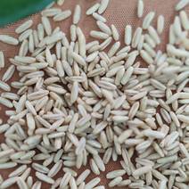 常年供应有机燕麦米，坝攸品种