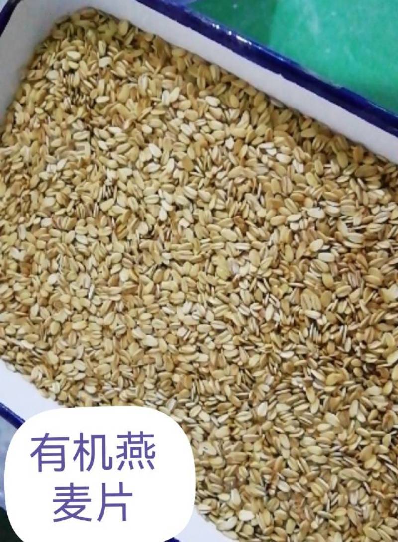 常年供应乳品，饮料果酱专用燕麦片