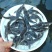 杂交鲟鱼
