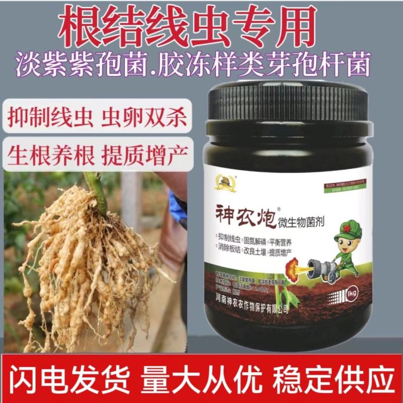 根结线虫专用淡紫紫孢菌胶冻样虫卵双杀根瘤菌病抑菌杀线虫
