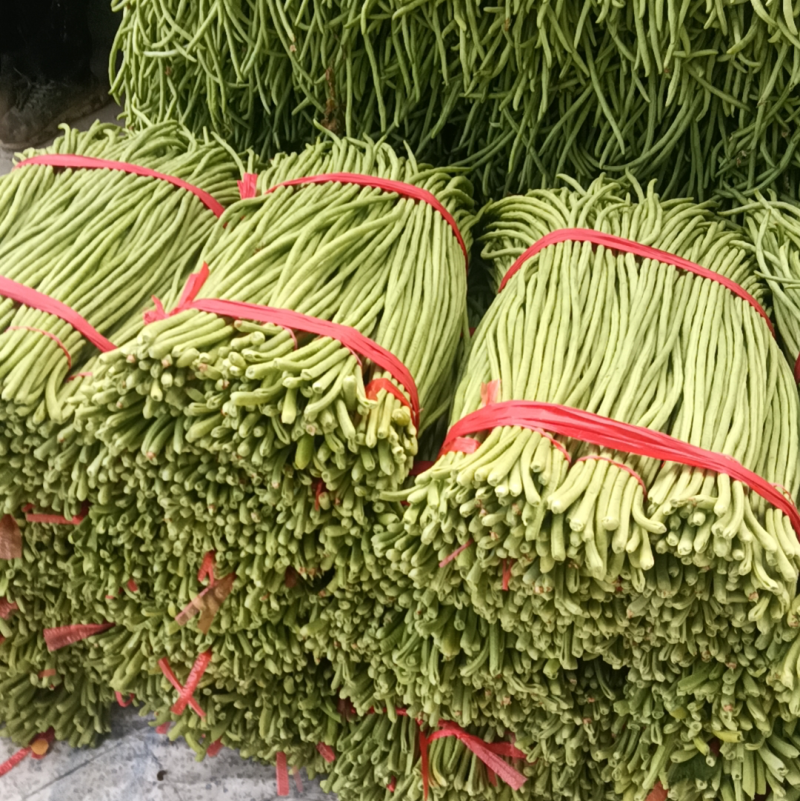 豆角豇豆，长豆角，长豇豆，产地直发全国欢迎电话联系