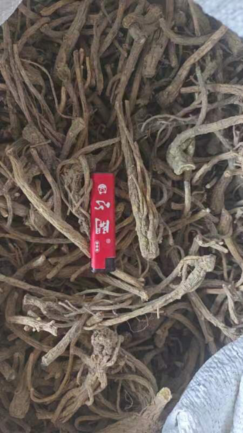 【推荐】贵州精品百花前胡，产地直供，一手货源，品质保证