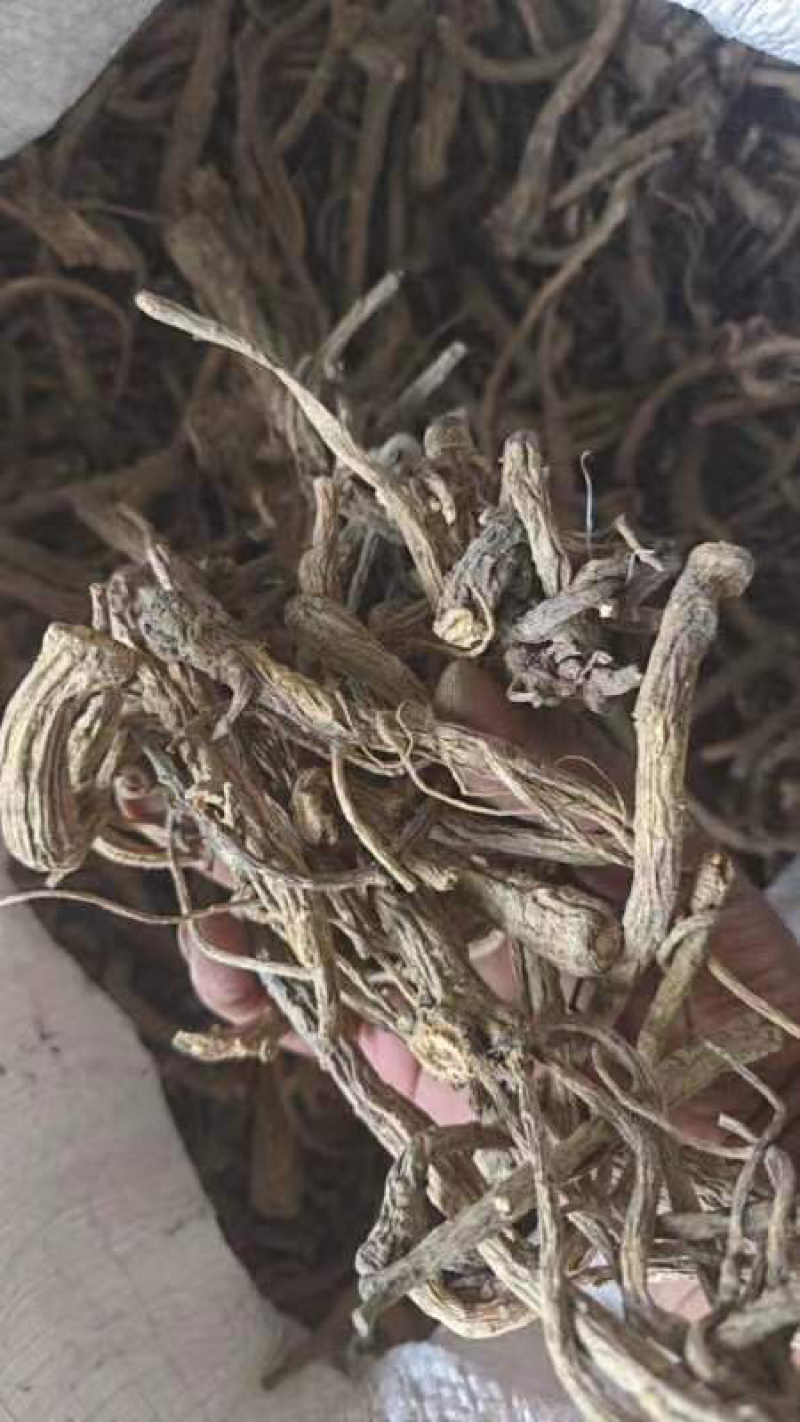 【推荐】贵州精品百花前胡，产地直供，一手货源，品质保证
