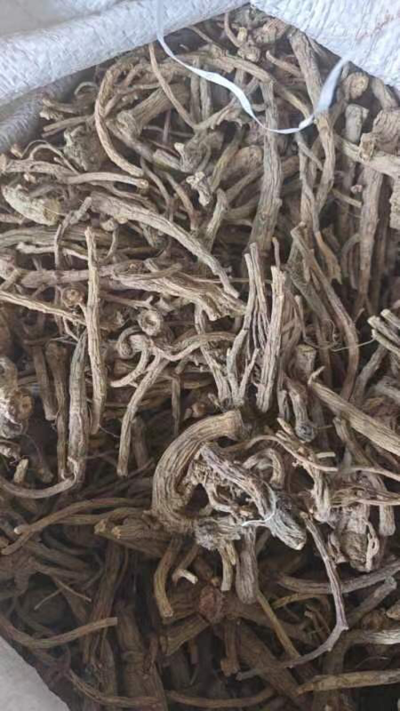 【推荐】贵州精品百花前胡，产地直供，一手货源，品质保证