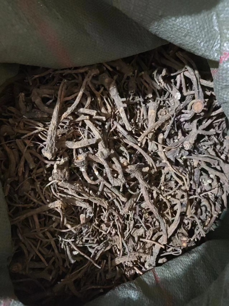 【推荐】贵州精品百花前胡，产地直供，一手货源，品质保证