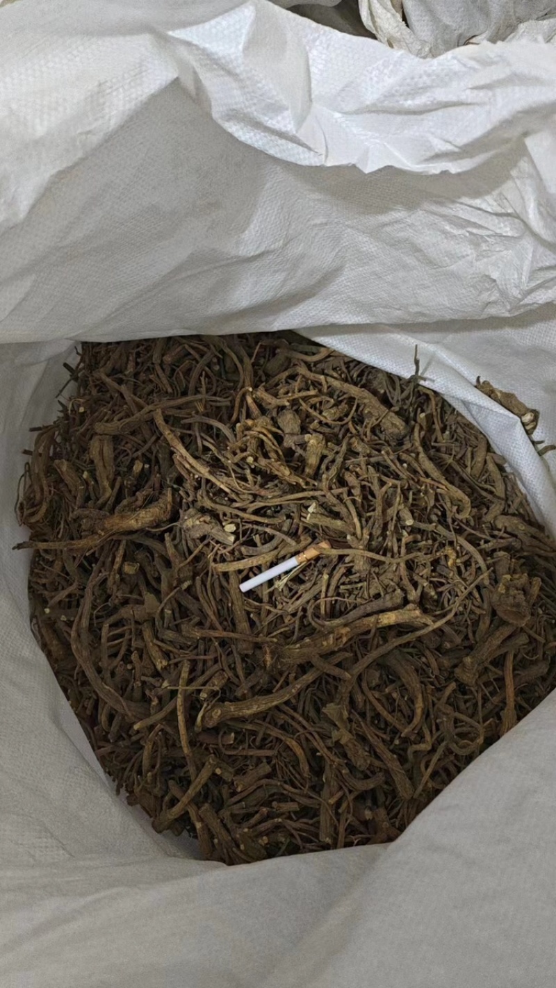 【推荐】贵州精品百花前胡，产地直供，一手货源，品质保证