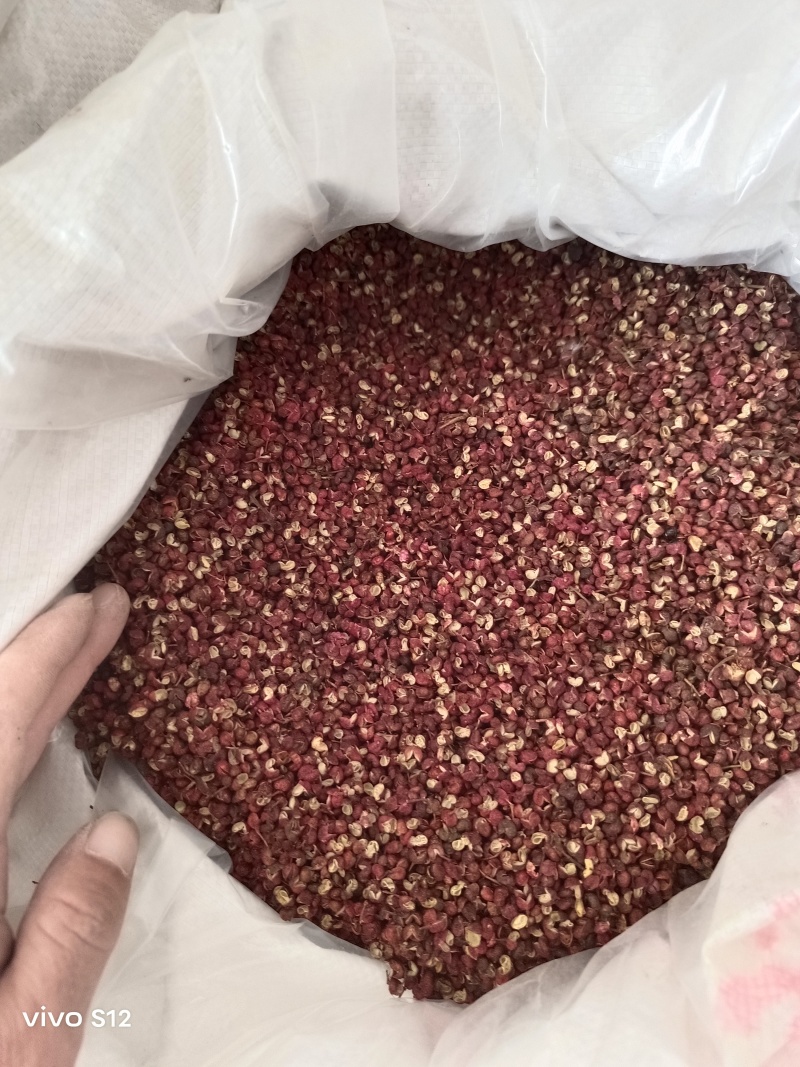 【一手货源】精品大红袍花椒可看视频，支持线上保障交易