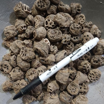 藕节，藕节碳，新货无硫无碎沫，实拍现货24小时内发货