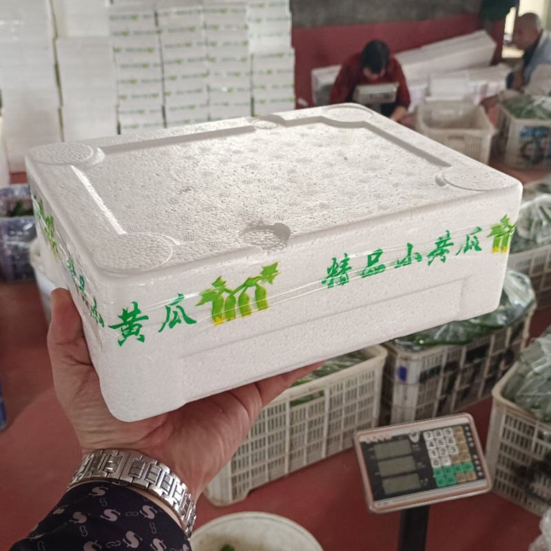 【供应社区团购】山东瑞丽水果小黄瓜乳瓜鲜嫩可口整车发货
