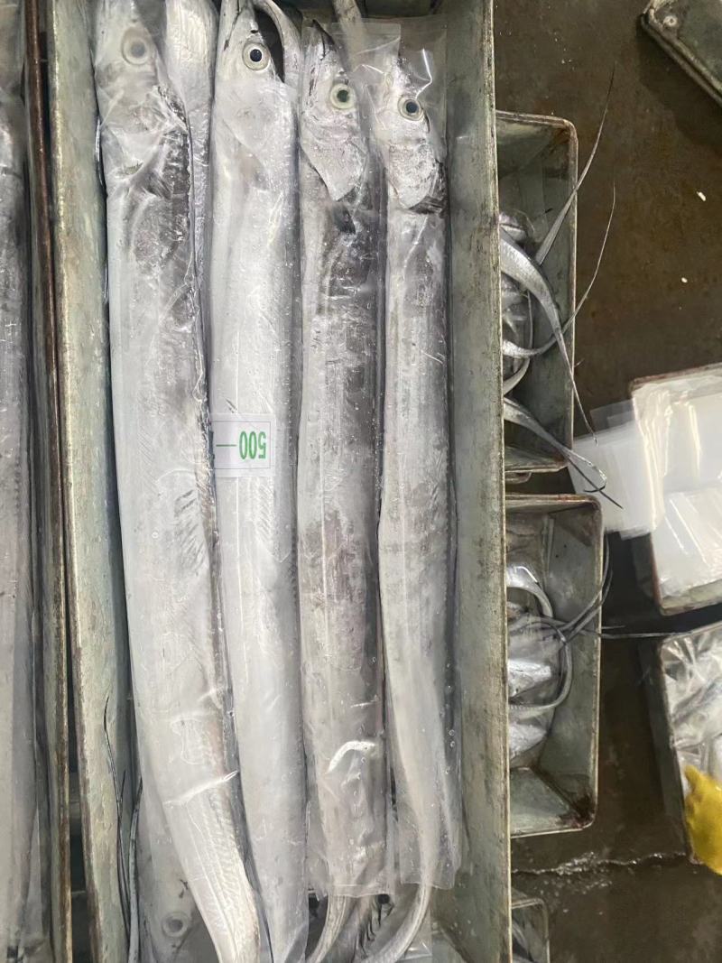 超精品钩带鱼，出口品质（资质）供应链工厂可代办代收代加工