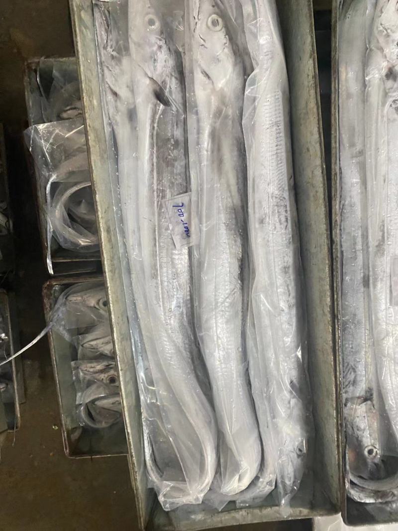 超精品钩带鱼，出口品质（资质）供应链工厂可代办代收代加工