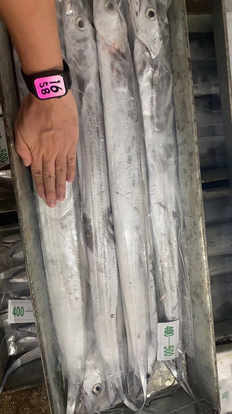 超精品钩带鱼，出口品质（资质）供应链工厂可代办代收代加工