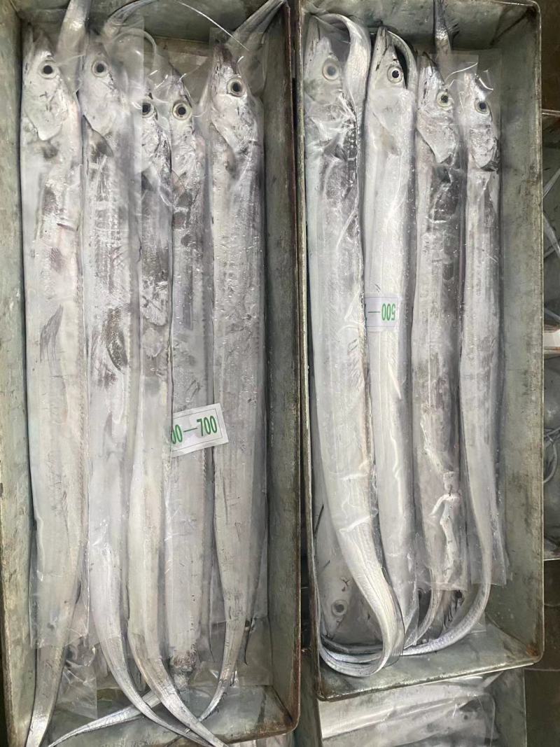 超精品钩带鱼，出口品质（资质）供应链工厂可代办代收代加工