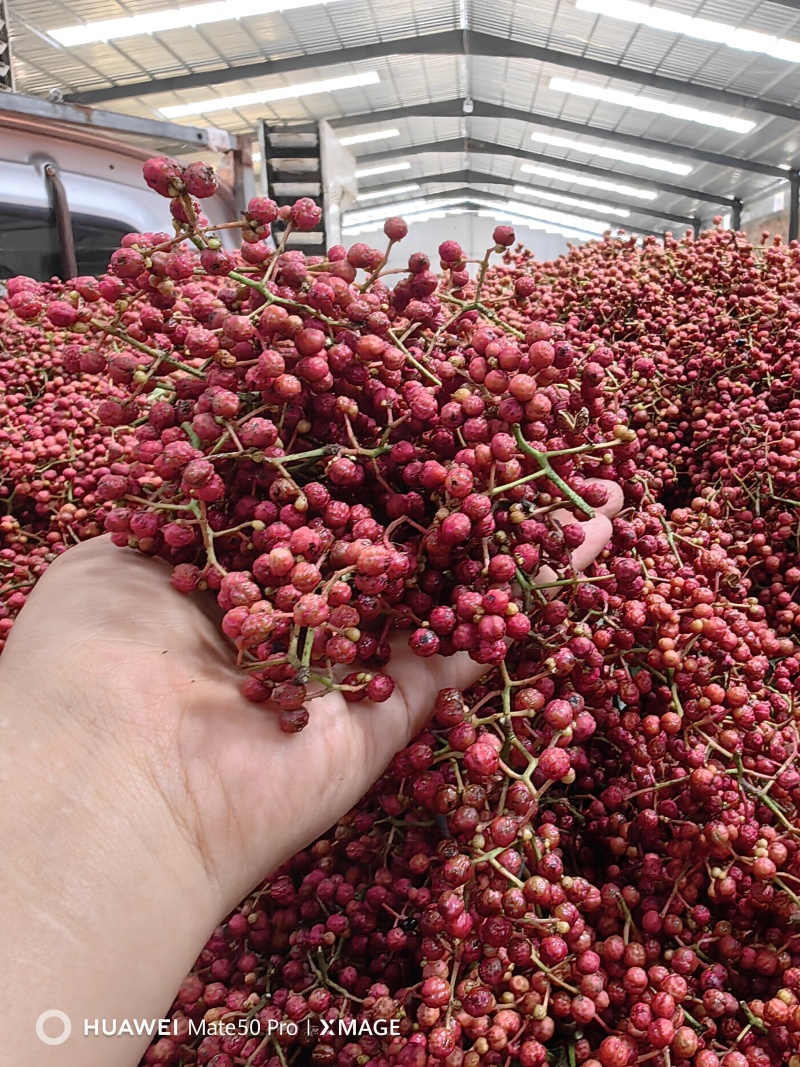 陕西精品大红袍花椒产地一手货源厂家直发常年供应量大价优