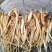 党参