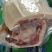 巴马香猪肉，无公害自繁自养，散放围栏无任何添加饲料喂养