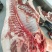 巴马香猪肉，无公害自繁自养，散放围栏无任何添加饲料喂养