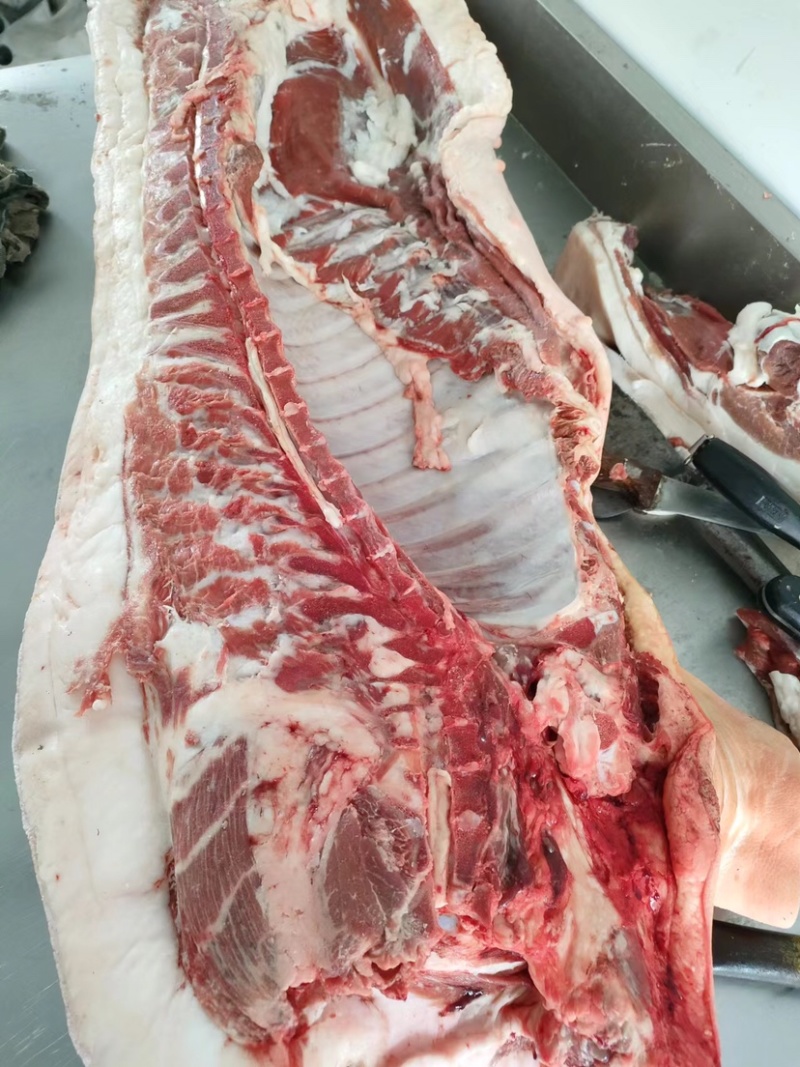巴马香猪肉，无公害自繁自养，散放围栏无任何添加饲料喂养
