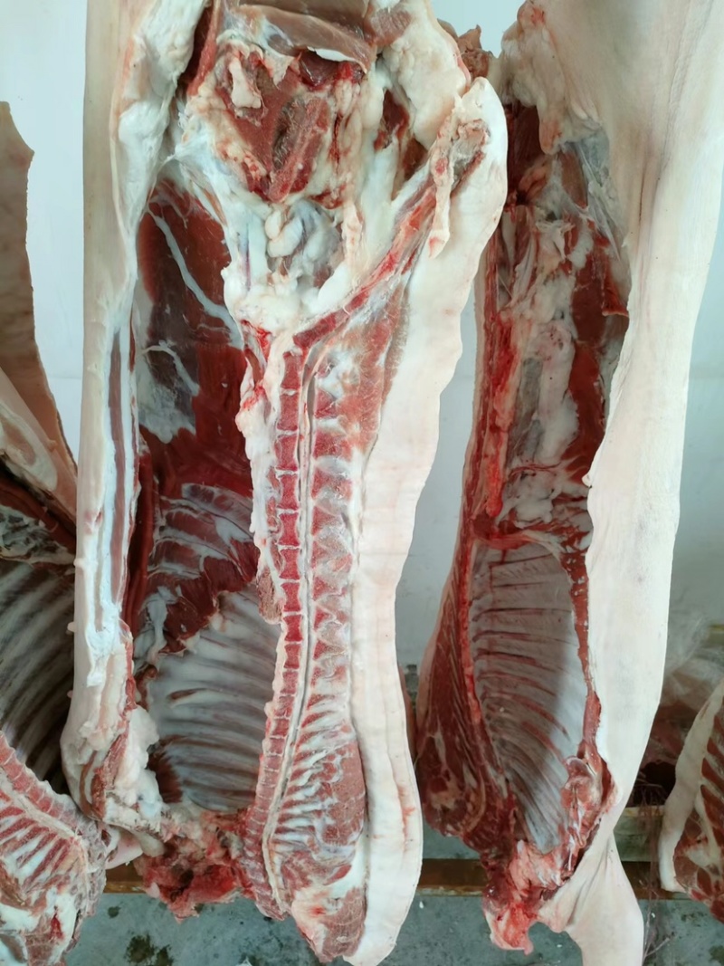巴马香猪肉，无公害自繁自养，散放围栏无任何添加饲料喂养