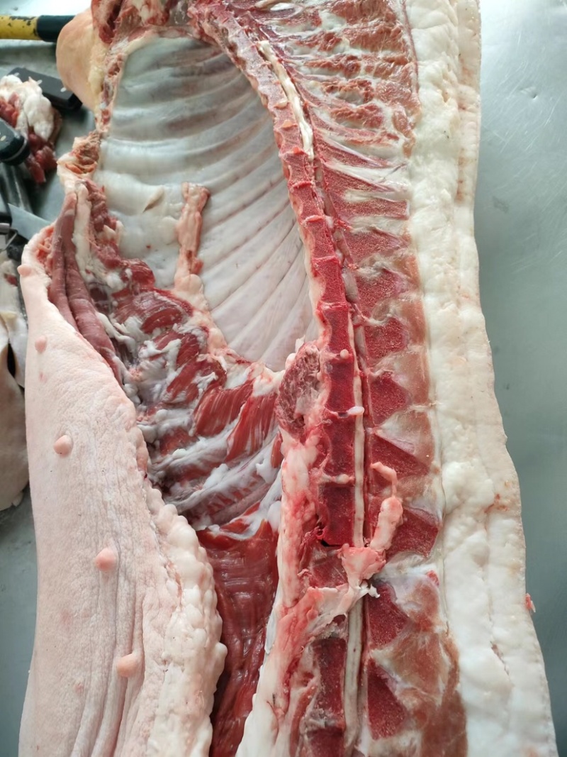 巴马香猪肉，无公害自繁自养，散放围栏无任何添加饲料喂养