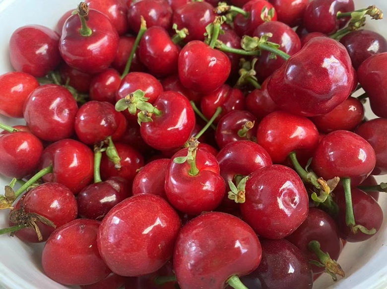 家庭餐桌上摆放着一碗红色诱人、晶莹剔透的樱桃 冬季享受樱桃的温馨场景