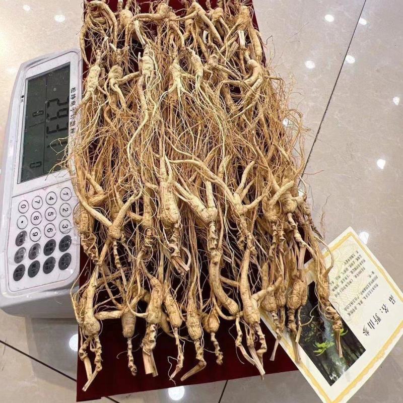 16年左右林下参，单支小货类型，无杂无绣款，特价福利出，