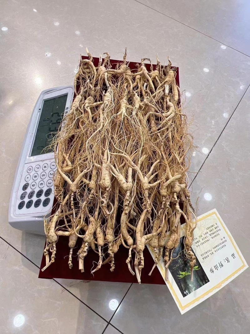16年左右林下参，单支小货类型，无杂无绣款，特价福利出，