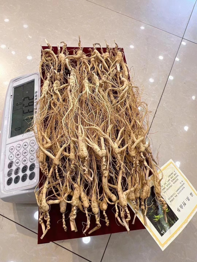 16年左右林下参，单支小货类型，无杂无绣款，特价福利出，