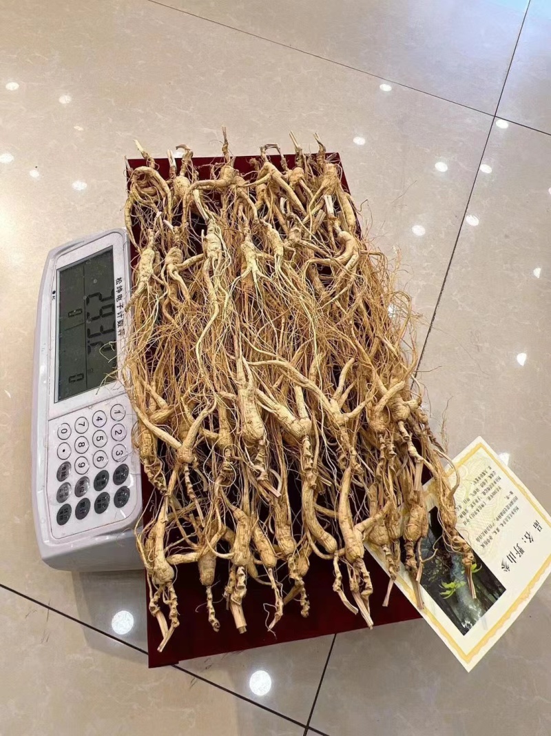 16年左右林下参，单支小货类型，无杂无绣款，特价福利出，