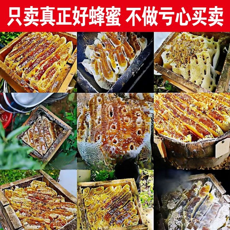 蜂蜜土蜂蜜深山百花蜂蜜正品无添加真蜂蜜一手货