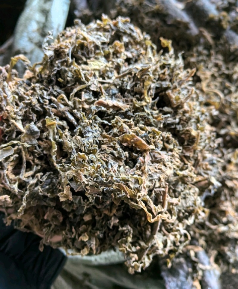 常年有货梅干菜产地批发大量供货价格优惠欢迎咨询合作