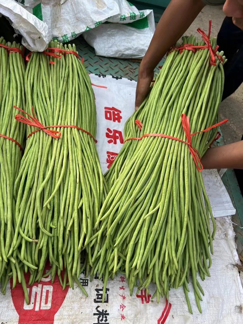 山东产地直发精品长豆角价格优惠代收代发全国