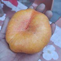 黄油盘桃