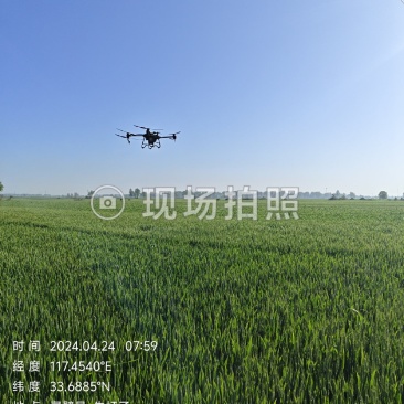 打药，撒肥，撒种，吊运