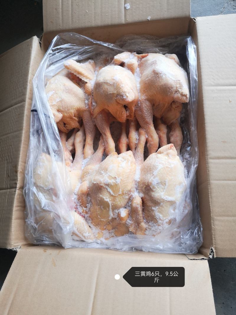 三黄鸡白条（规格齐全）