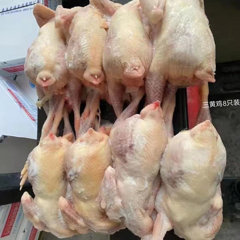 三黄鸡白条（规格齐全）