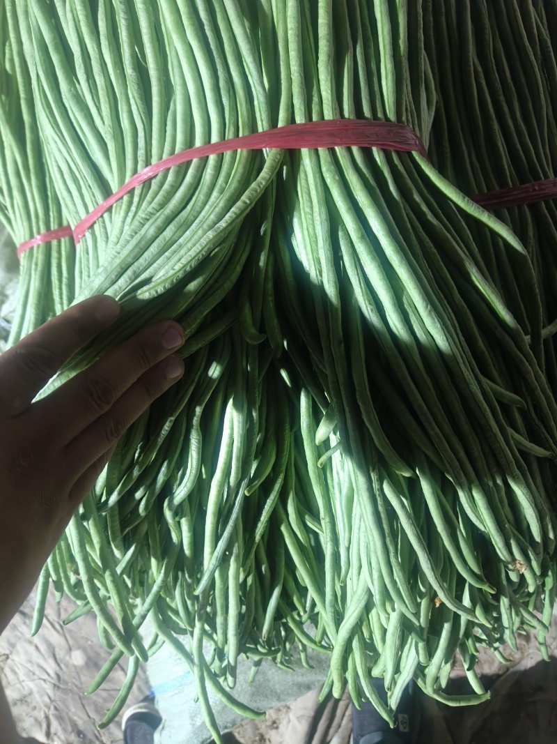 豆角大量市