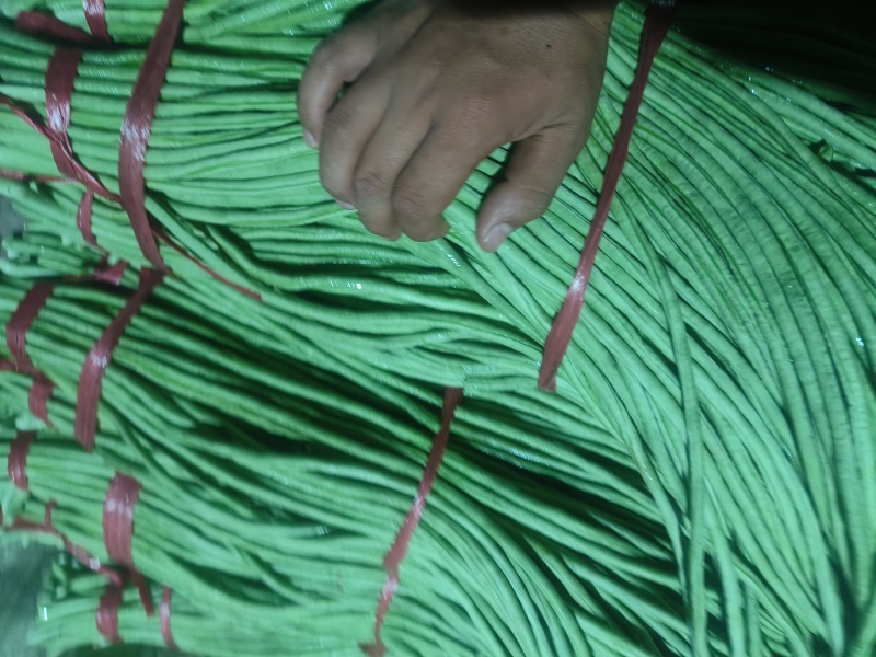豆角大量市