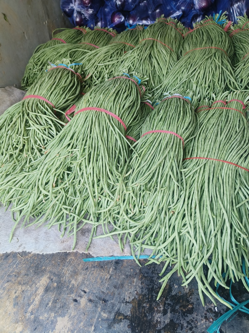 豆角大量市