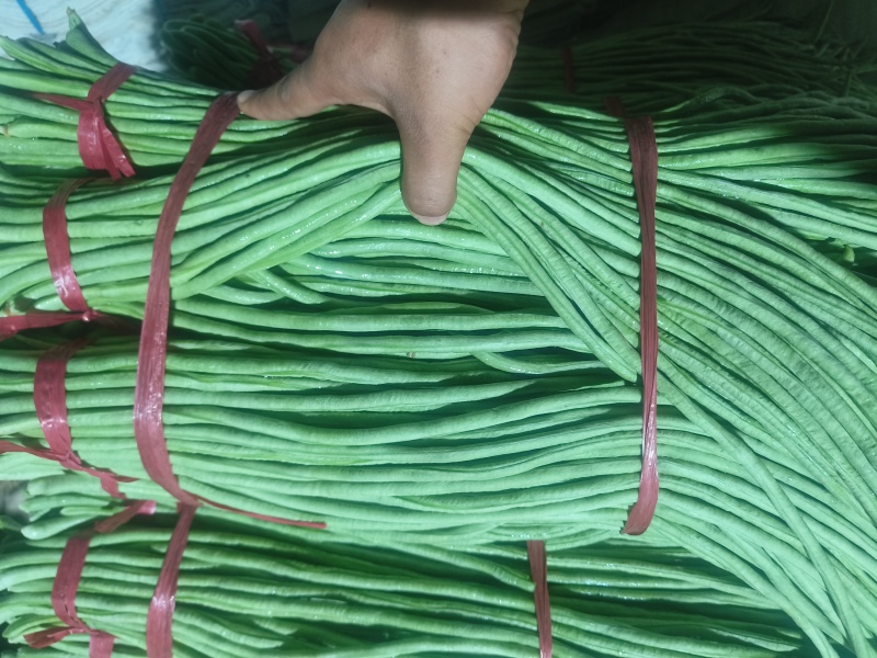 豆角大量市