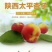 太平红杏