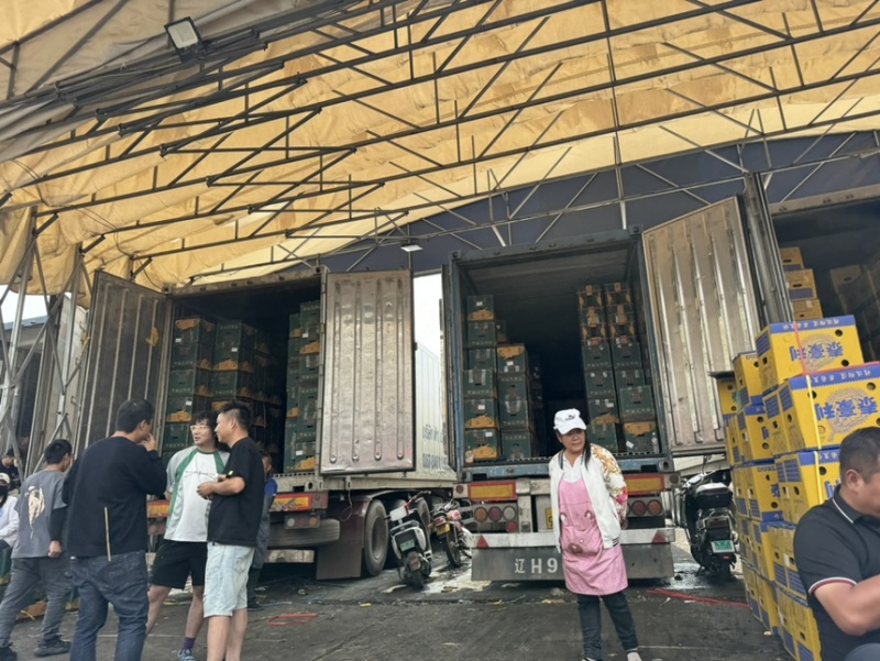 现在是榴莲的高峰期，本公司每天到20车到30车榴莲