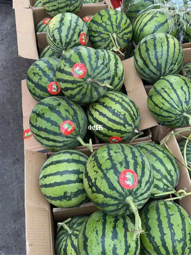 美都西瓜大量供应商超电商市场产地直发一手货源欢迎老板联系