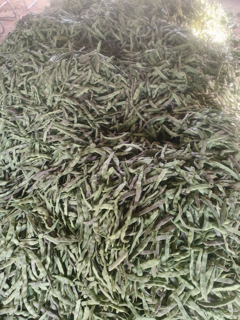 油豆角