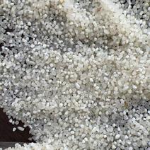 东北珍珠米中大碎（食品级）
