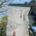 张家界莓茶（藤茶）