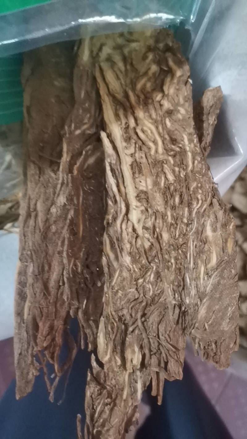 佛手当归，当归，中药材批发零售佛手当归