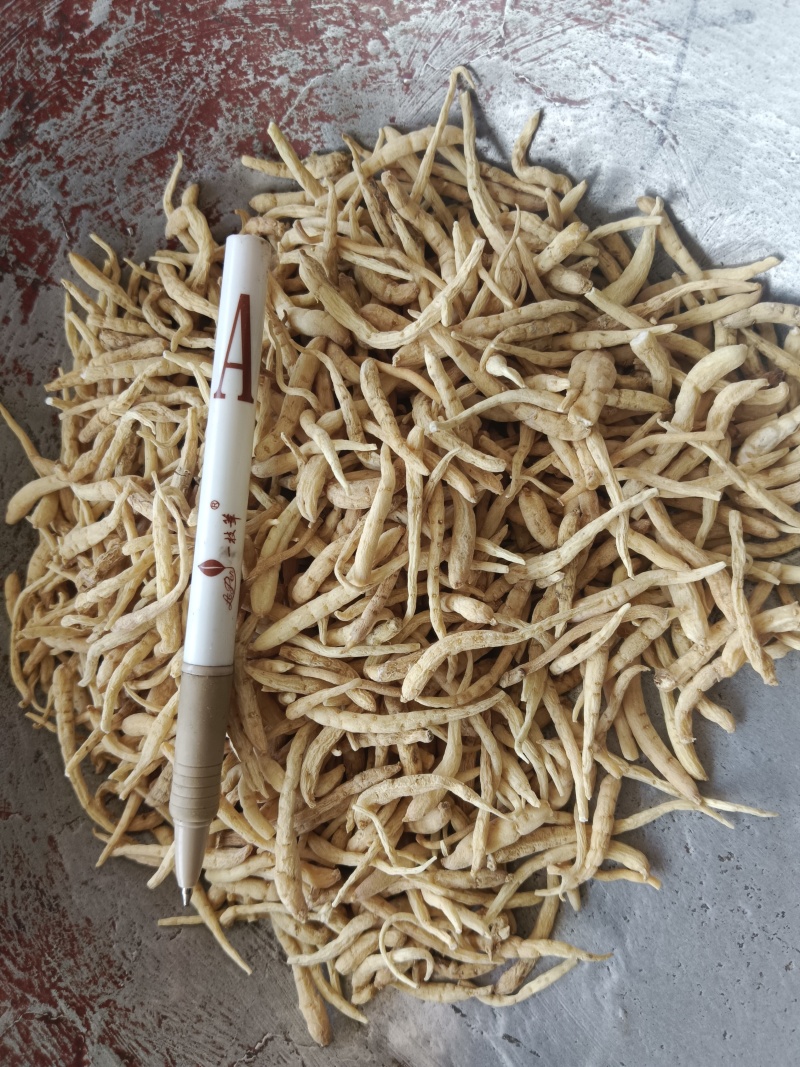 太子参娃儿参娃娃参，无硫实拍现货质量保证产地一手货源