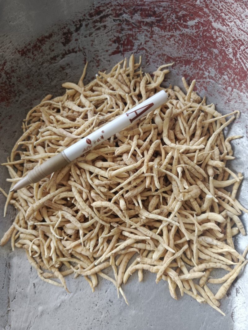 太子参娃儿参娃娃参，无硫实拍现货质量保证产地一手货源